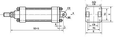 尾部雙耳式.jpg 尾部雙耳式.jpg